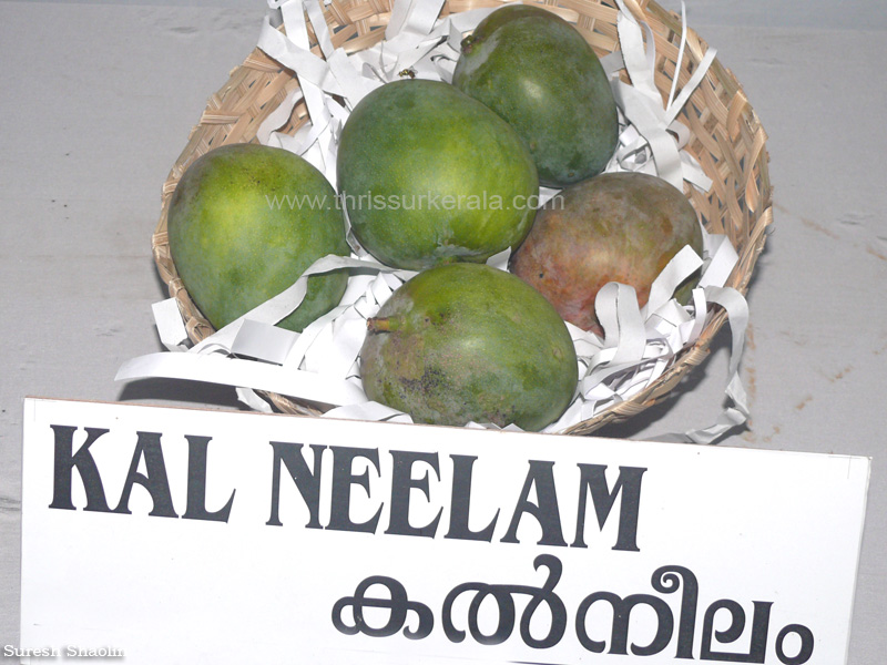 Kal Neelam